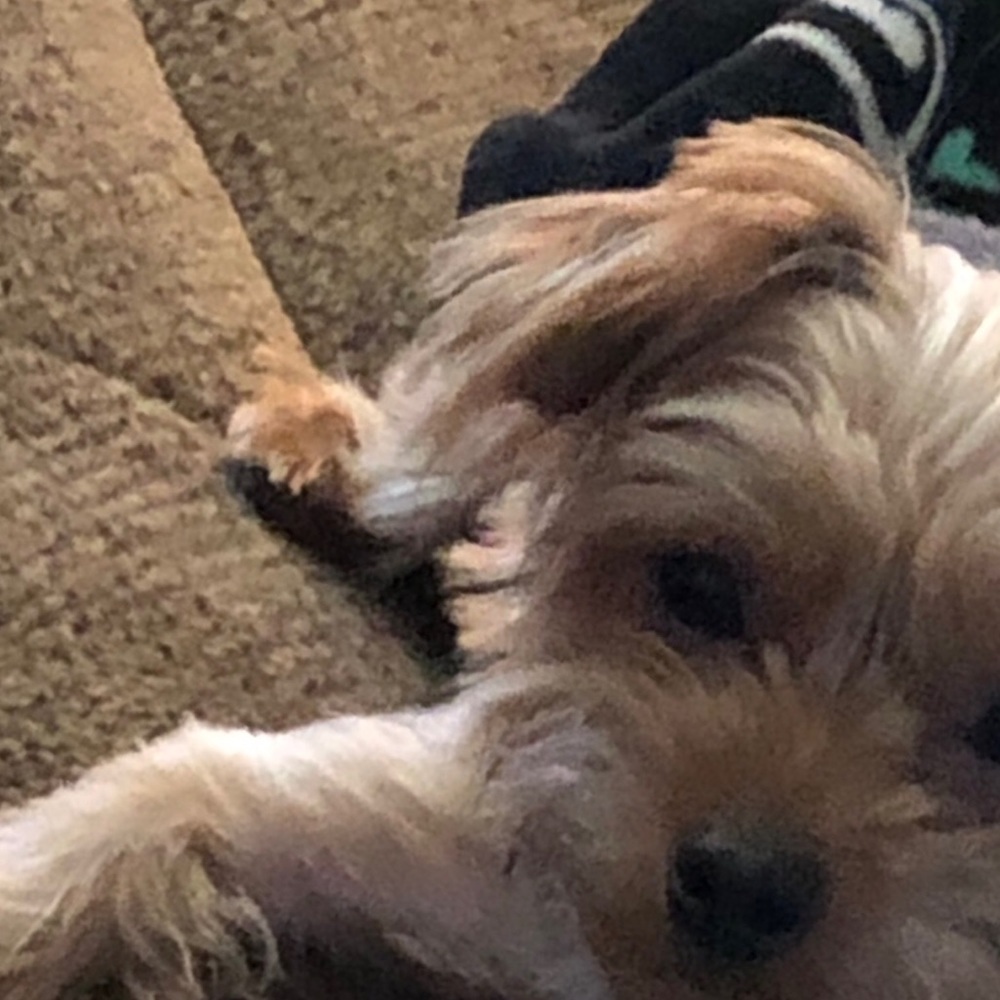 Meet your Posher, Hailey